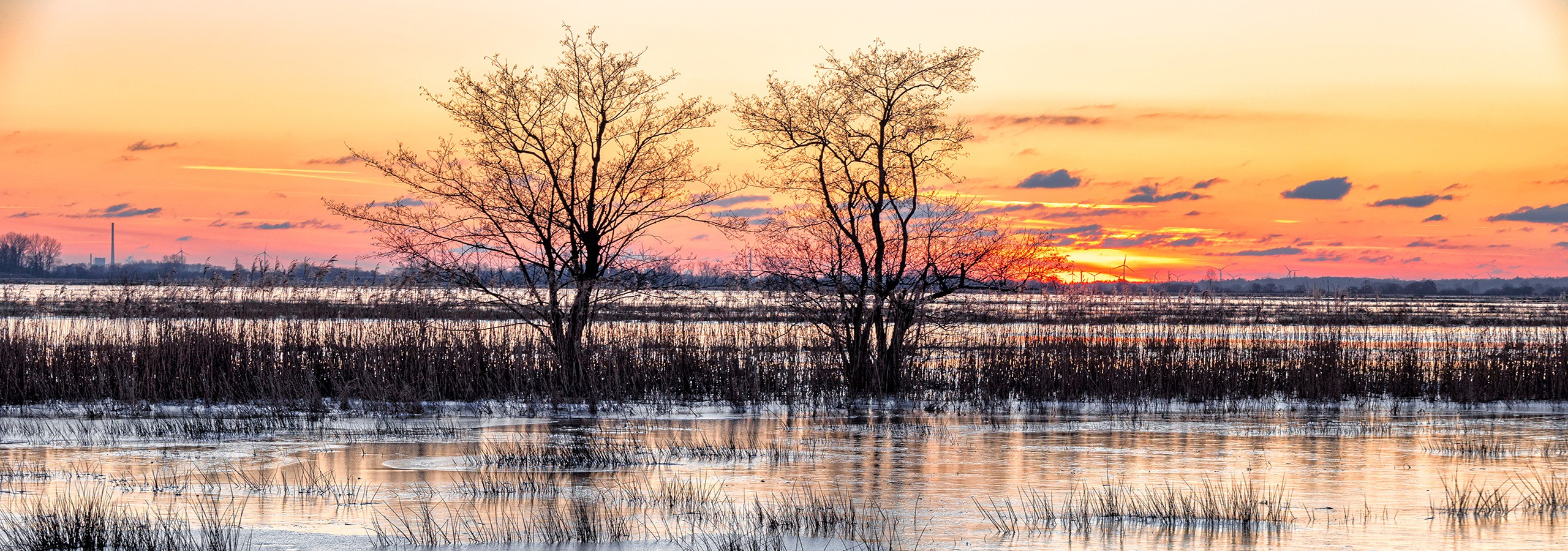 Überschwemmte Hammewiesen