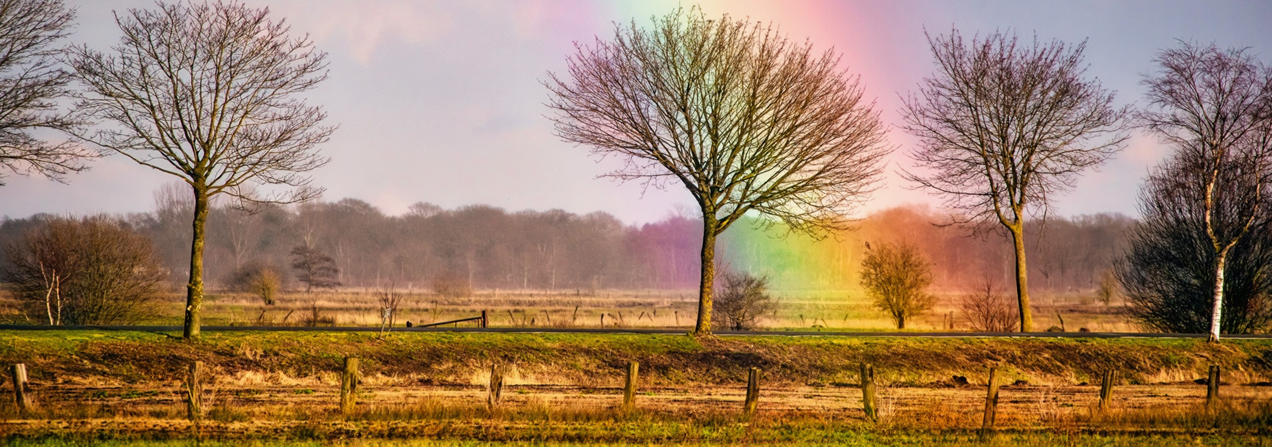 Teufelsmoor - Regenbogen und Busssard