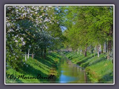 Obstbaumblüte am Oste-Hamme-Kanal