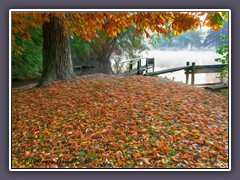 Herbst bei Melchers Hütte