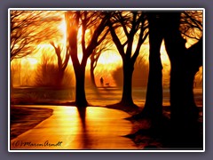 Morgens mit dem Hund 