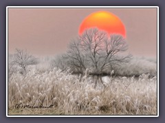 Wintersonne an der Wümme